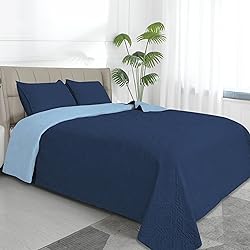 Easy-Going Twin Size Reversible Quilt Set with 1