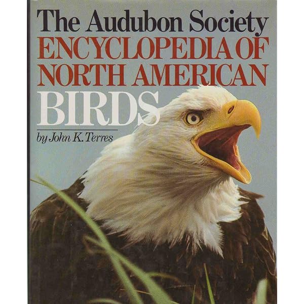 Amazon.com: Jeffrey Whiting's Owls of North America (Whiting's