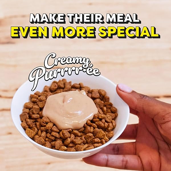 TEMPTATIONS CREAMY PUREE WITH CHEESE LICKABLE, SQUEEZABLE CAT TREATS, 0.42 OZ POUCHES, 16 COUNT