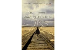 Chasing Fireflies: A novel of discovery