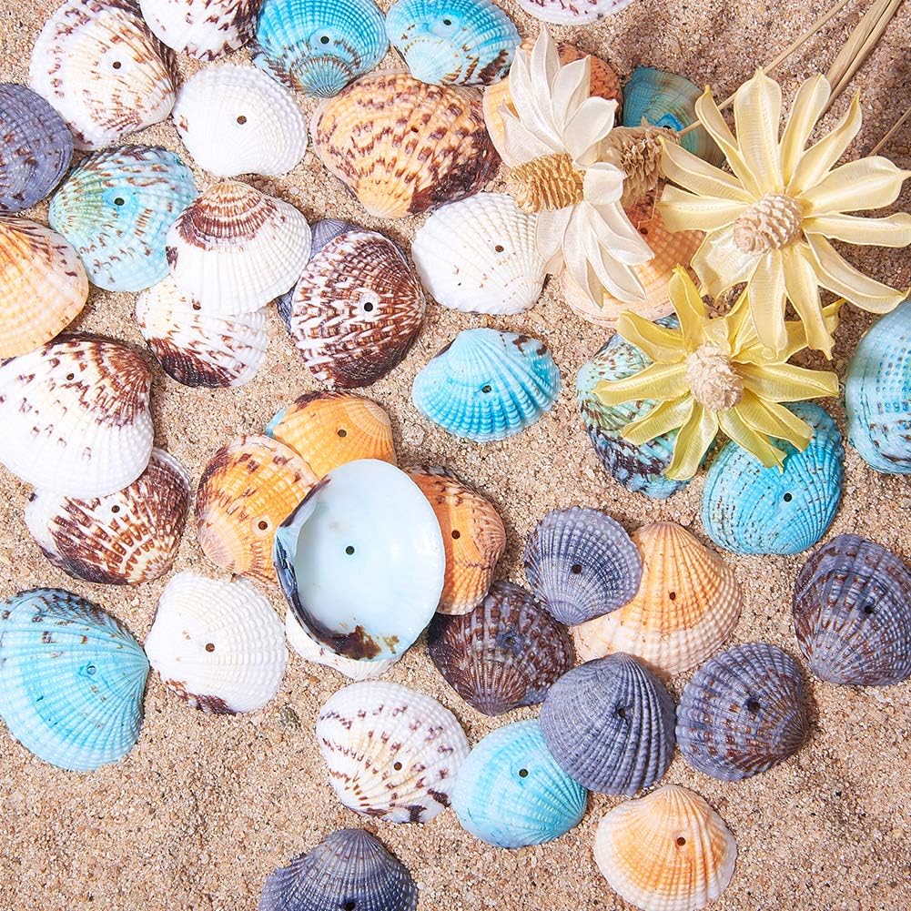 PH PandaHall 50pcs Dyed Sea Shells Scallop Shells Natural Conch Shell Beads Drilled Tiny Scallop Sea Shell for Crafting Hanging Decoration Making Beach Party Garland Wedding Decor 1.2~1.4 Inch - Image 5
