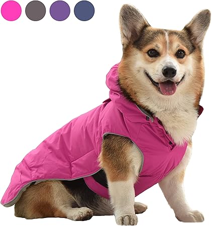 waterproof dog coat with hood