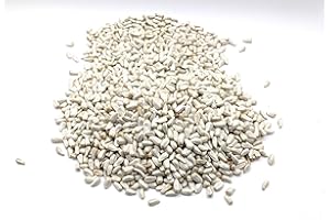For Everybirdy Safflower Wild Bird Seed 4.54kg (10lbs) for Cardinals, Doves and Finches Squirrel-Resistant Seed
