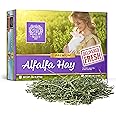 Small Pet Select Alfalfa Hay Pet Food for Young Rabbits, Guinea Pigs, Chinchillas, Tortoises and Other Small Animals, Easy to Store Box, 5 LB