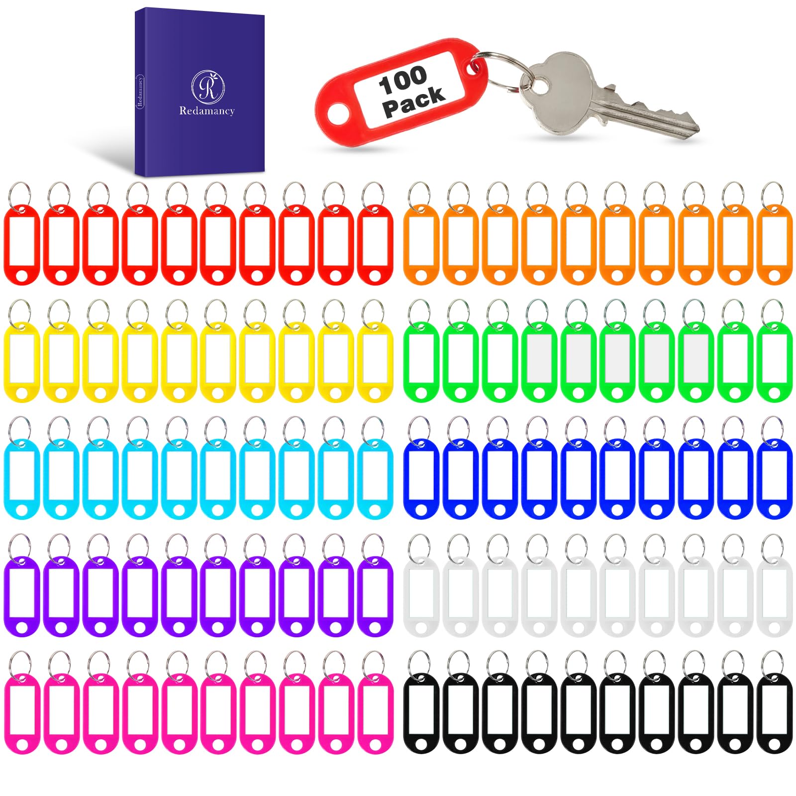 Redamancy 100 Pack Key Fobs with Labels, 10 Colors, Plastic Keyring Tags for Luggage, Pet and Office Names, Writable Paper Stick Tags