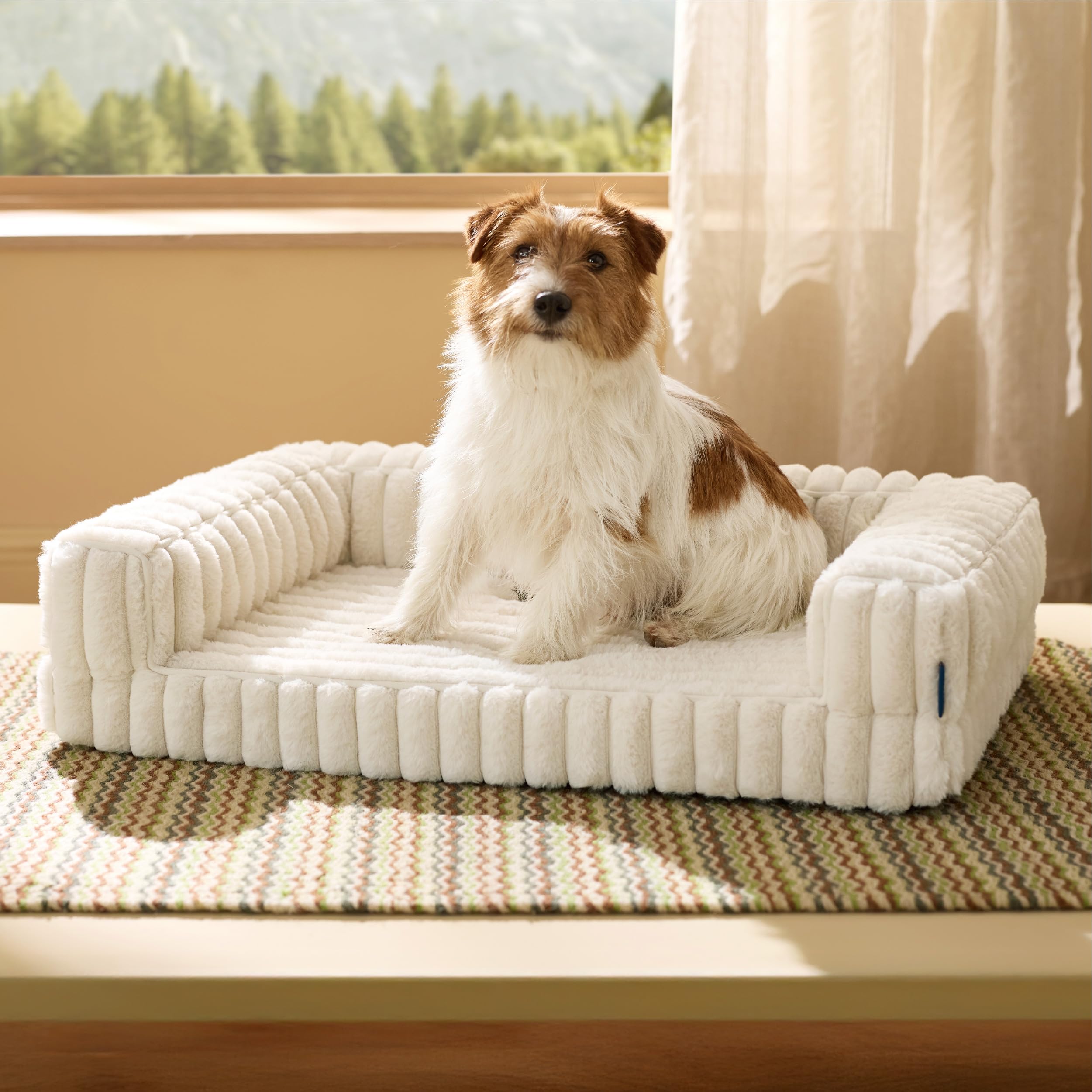 Photo 1 of Bedsure ComfyFleece™ Orthopedic Dog Bed for Medium Dogs, Waterproof Memory Foam Medium Pet Beds with Sides, Non-Slip Bottom and Egg-Crate Foam Dog Couch Sofa with Washable Corduroy Cover, Cream