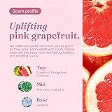 Miniml Antibacterial Surface Cleaner 5L Refill Grapefruit Scent view 4