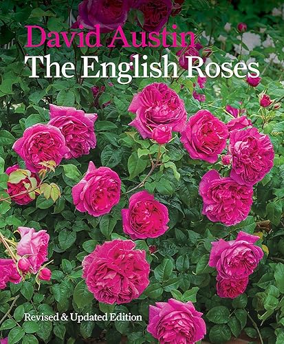 Download The English Roses PDF