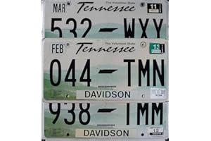 GENERIC Authentic License Plate - All 50 States + Territories License Plate Tags in Good Condition, Great for Decoration, Art Projects, Garages, Unique Gifts, Man Caves. (Tennessee)