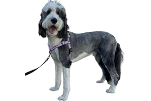 ShawnCo Dream Walk Pro Dog Harness- No-Pull, Comfortable, Adjustable, Easy to Use Pet Halter to Help Stop Pulling for Small, Medium and Large Dogs (ICY Lilac, Medium)