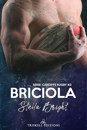 Download Briciola (Cardiffs Rugby Vol. 3) (Italian Edition) PDF