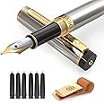 Dryden Designs Fountain Pen - Medium Nib 0.5mm | Includes 6 Ink Cartridges (3 Black, 3 Blue), Notebook Clips and Ink Refill Converter | - Silver.