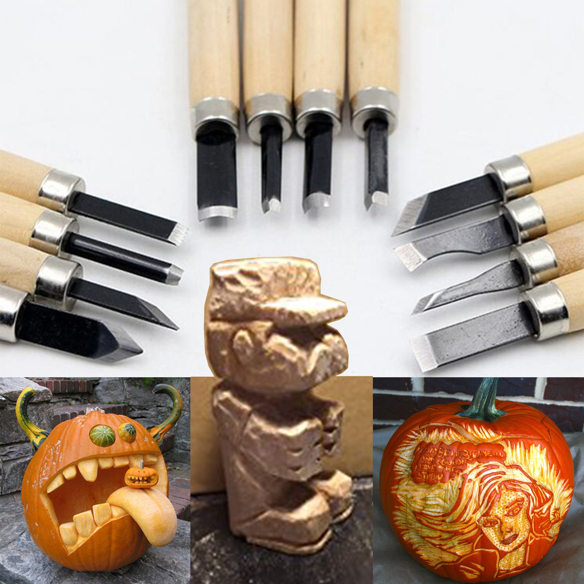 Wood Carving Tools Set of 12 Professional Hand Knife Chisels with Whetstone Storage Bag and Free