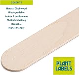 EFA International 50Pcs Plant Labels Biodegradable Birch Wood Markers 15cm view 2