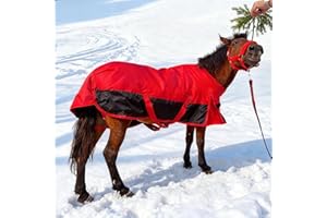 KABAHORZE Mini Horse/Pony/Foal/Miniature1600 Denier Horse Turnout Blanket, Horse Care Sheet, Waterproof Breathable Horse Blanket (220g Fill)