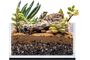 ULTUM NATURE SYSTEMS UNS Ultra Clear Rimless Tank - 0.5GAL | 2L - 6.29x6.29x3.14 | 16x16x8 CM, 5mm Glass Thickness, Leveling Mat Included - Low Iron, High Clarity Fish Tank w/ 45° Mitered Edge - [16S]