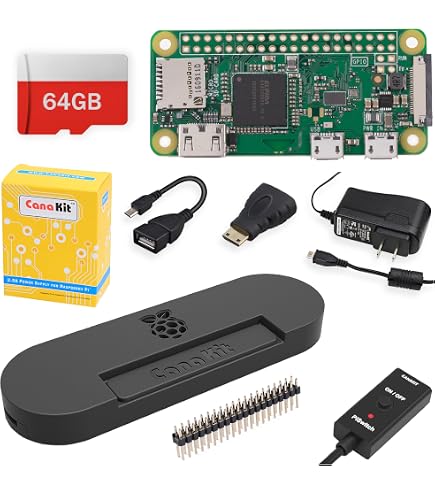 Amazon.com: Raspberry Pi Zero W Basic Starter Kit (Black Plastic