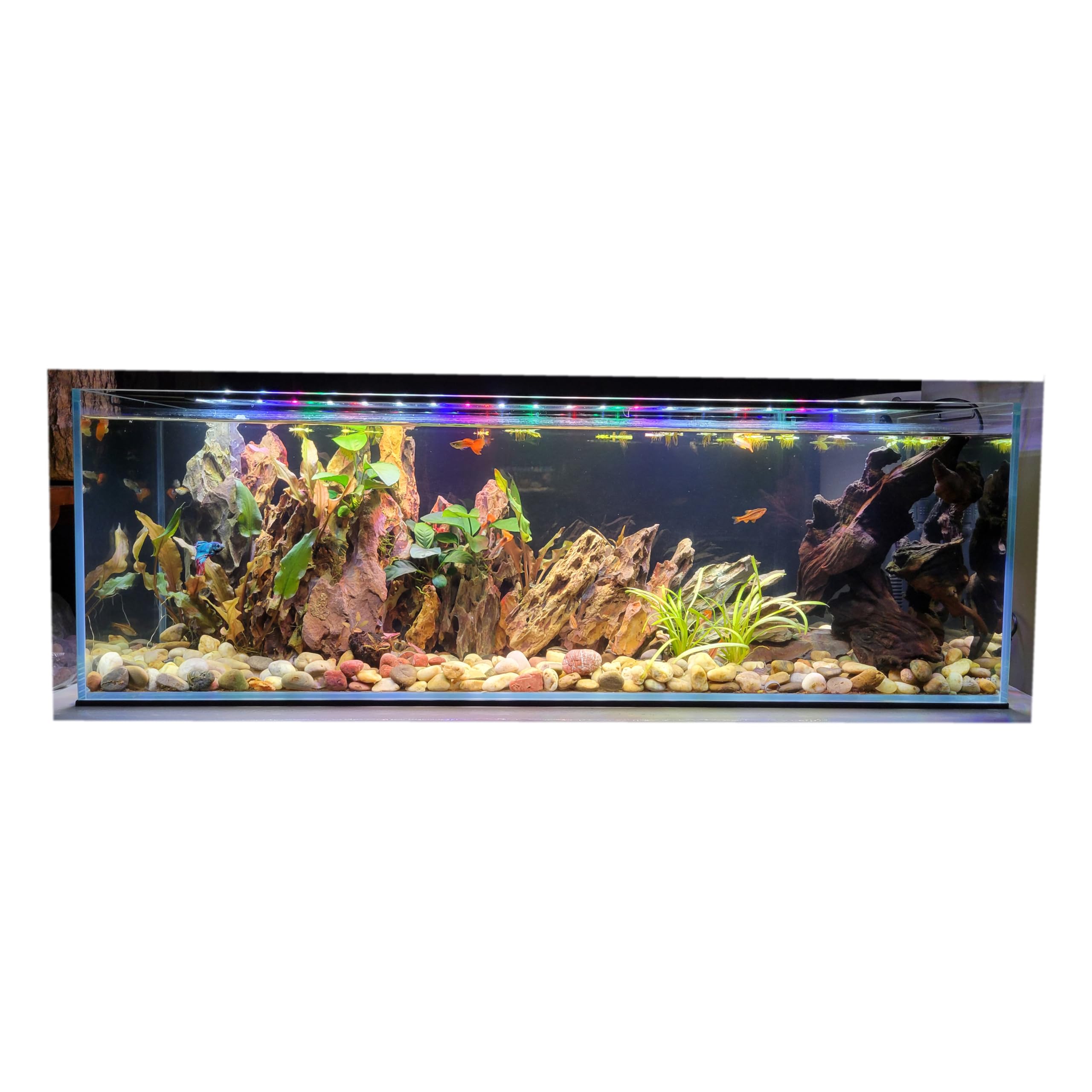 6 Gallon Low Iron Glass Bookshelf Aquarium 5mm