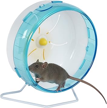 mice hamster