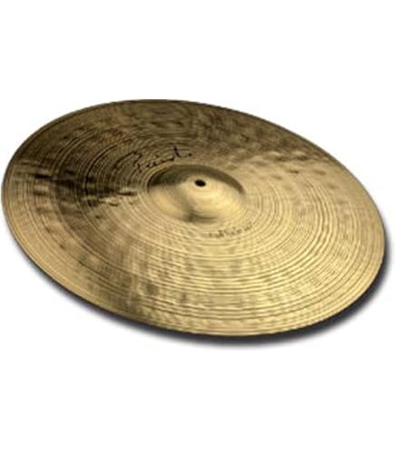 Amazon.com: Paiste 14