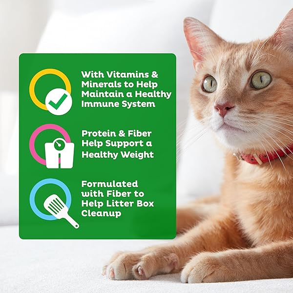 9LIVES INDOOR ESSENTIALS DRY CAT FOOD FOR ADULT CATS WITH CHICKEN & SALMON FLAVORS, 3.15 LB. BAG (PACK OF 4)