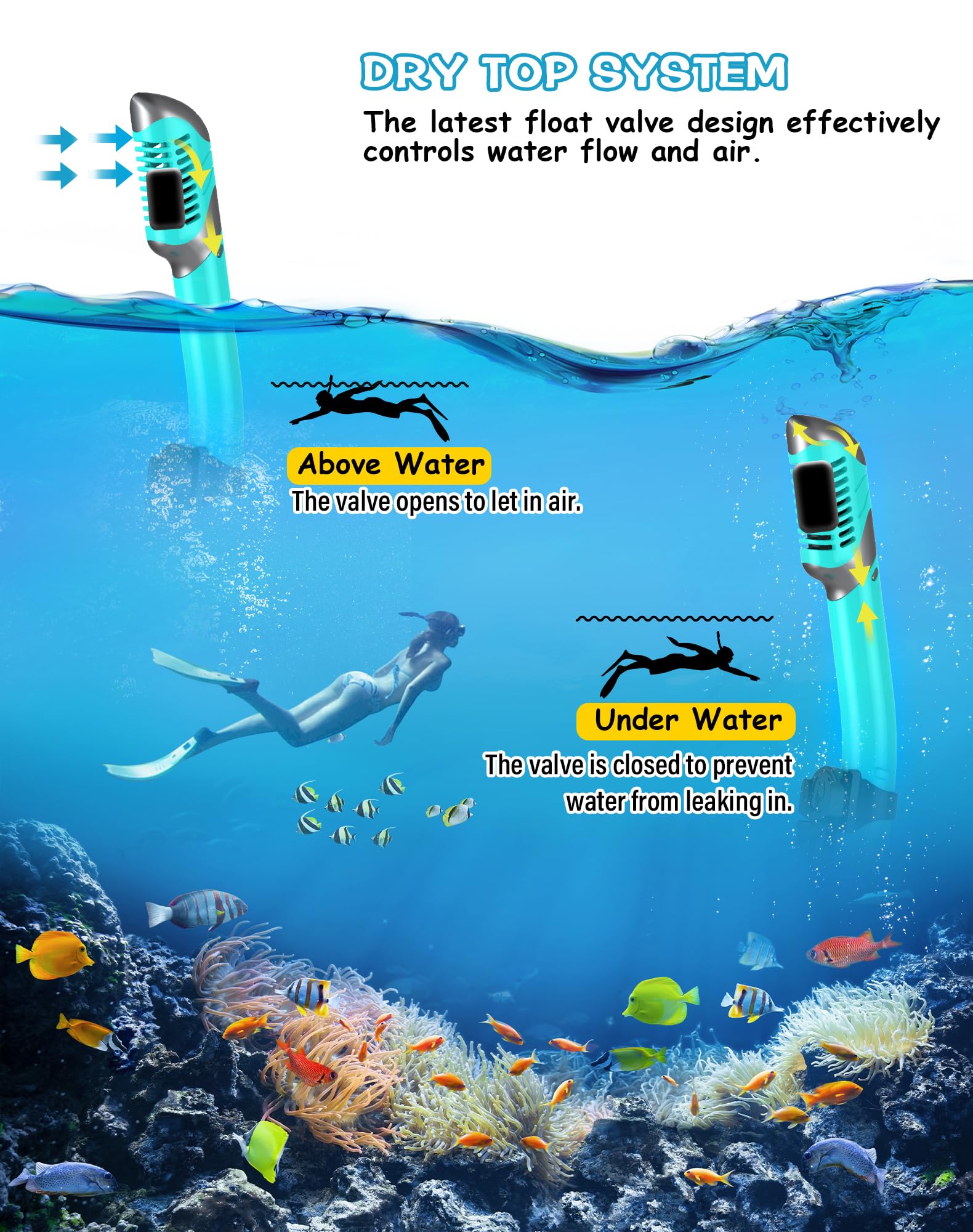 View 4