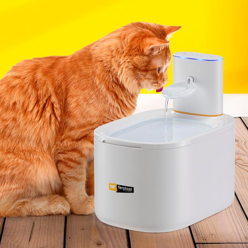 Fontaine a Eau Chat Astra Fontaine à Eau pour Chat, Distributeur d'eau pour Chat Rechargeable avec Capteur de Mouvement, 3 L, Filtre à Trois Étapes, USB-C Inclus