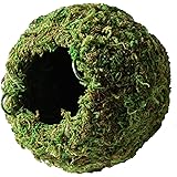 Galápagos (05348) Mossy Cave Hide, 6", Green Sphagnum