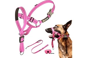 Zevey Dog Headcollar with Leash and Safety Strap Stops Heavy Pulling On The Leash Padded Reflective Head Halter for Small Medium Large Dogs Adjustable Head Harness for Training and Walking, (L, Pink)