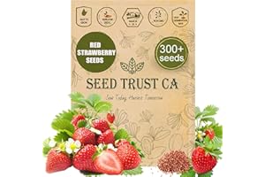 SEED TRUST CA SeedTrust CA Rare Red Strawberry Seeds for Planting – 300+ Non-GMO, Heirloom - Strawberry Seed– Large, Sweet, Juicy Berries for Planting Outdoors Indoors – High Germination Rate – USA