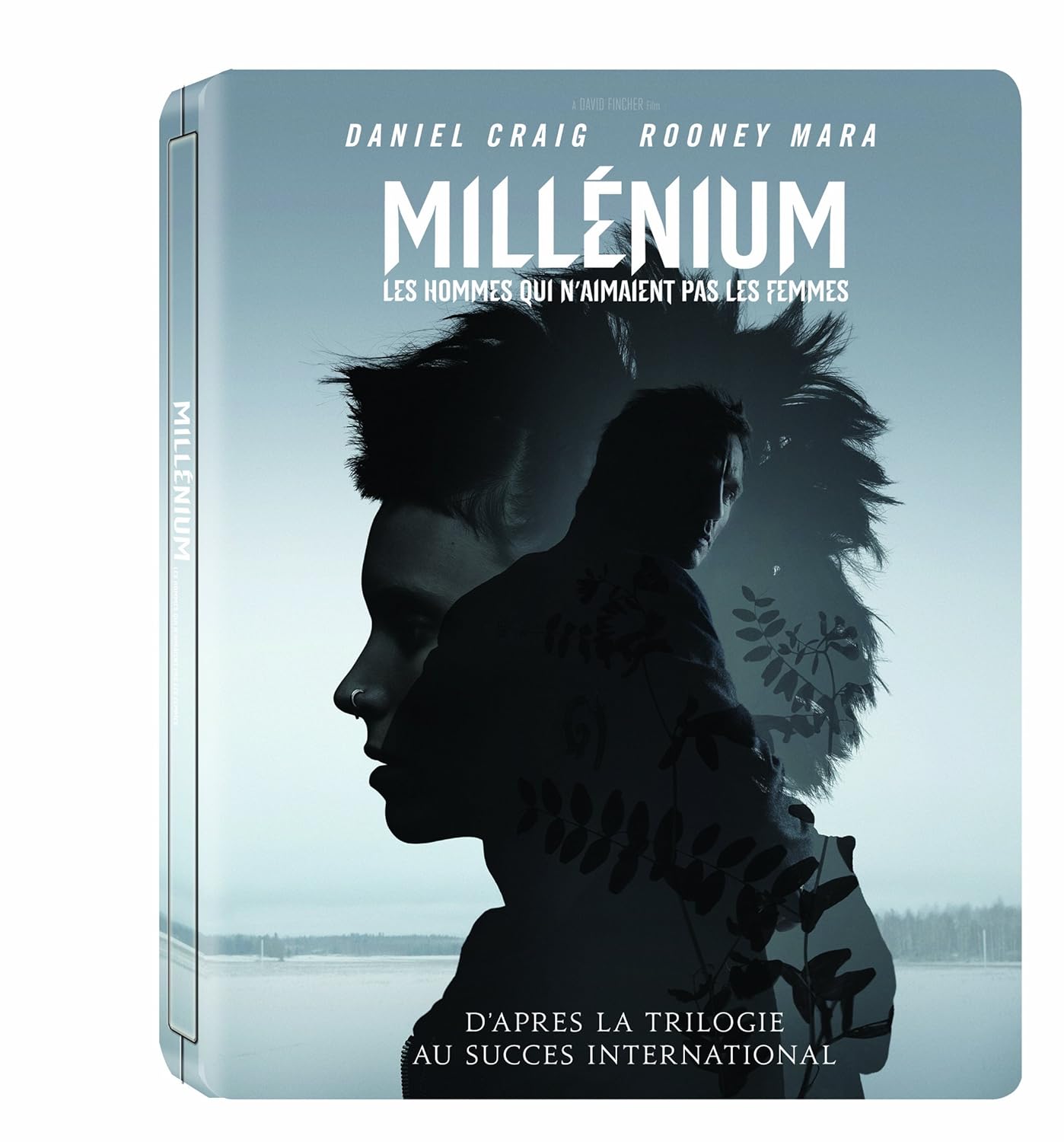 Millenium Les Hommes Qui N Aiment Pas Les Femmes Amazon.com: Millénium : Les hommes qui n'aimaient pas les femmes