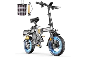 DTTZH Peak 1000W Folding Electric Bike for Adults, 28MPH Commuter 14" Foldable Ebike, 750W Motor Adults Electric Bicycle, 48V 15Ah Removable Battery UL 2849 Certified, 60 Miles PAS Range