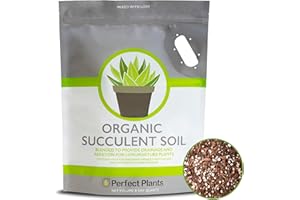 Succulent & Cactus Soil Mix by Perfect Plants (8QTS)
