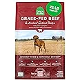 Open Farm, Ancient Grains Dry Dog Food, Protein-Rich & Nutrient Dense, 90% Animal Protein Mixed with Non-GMO Fruits, Veggies and Superfoods, Grass-Fed Beef Recipe, 22lb Bag