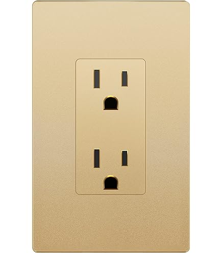 PASS AND SEYMOUR TR26342-GRY Presa Duplex, 20 A, 125 V - Foto 4