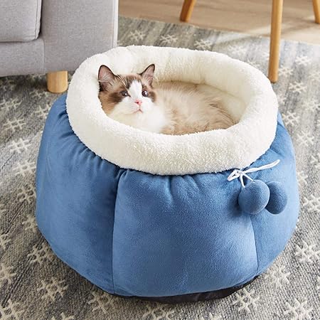 covered cat bed amazon