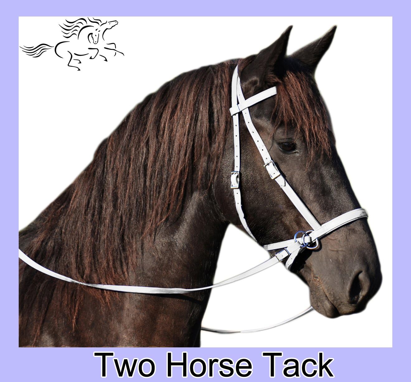 Bitless Bridle & Reins, 2 in 1 Style, Made From Beta Biothane - Horse Size, White Color