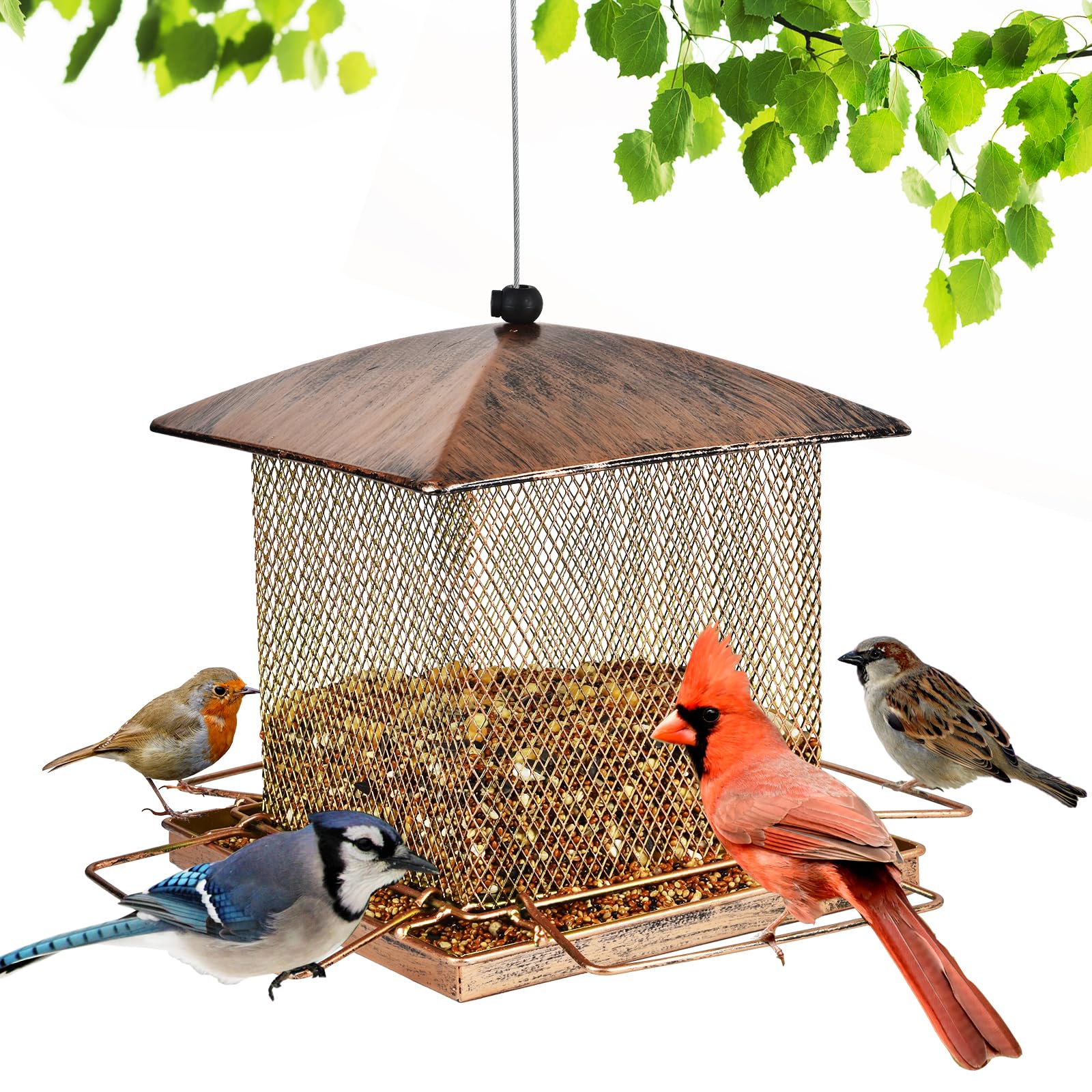 IWTTWY Bird Feeder Hanging, Heavy Duty Metal Squirrel Proof Bird Feeders, Large Capacity Wild Bird Seed Feeder for Garden and Outdoors, Gift Ideas for Bird Lovers, Square
