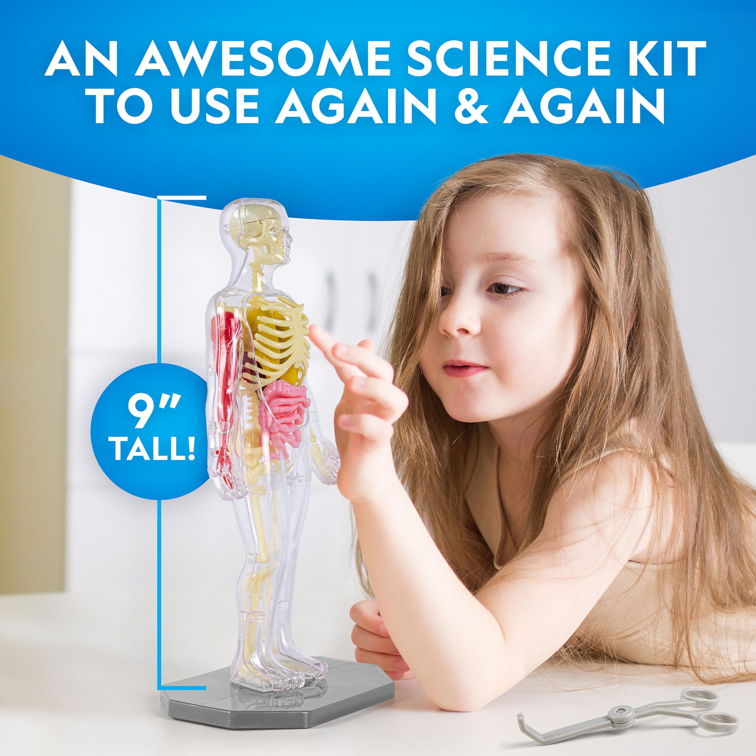National Geographic Human Body Model for Kids That Glows in The Dark - 32-Piece Interactive Anatomy Model with Bones, Organs, Muscles, Science Kit, Anatomy & Physiology, Halloween Activity for Kids