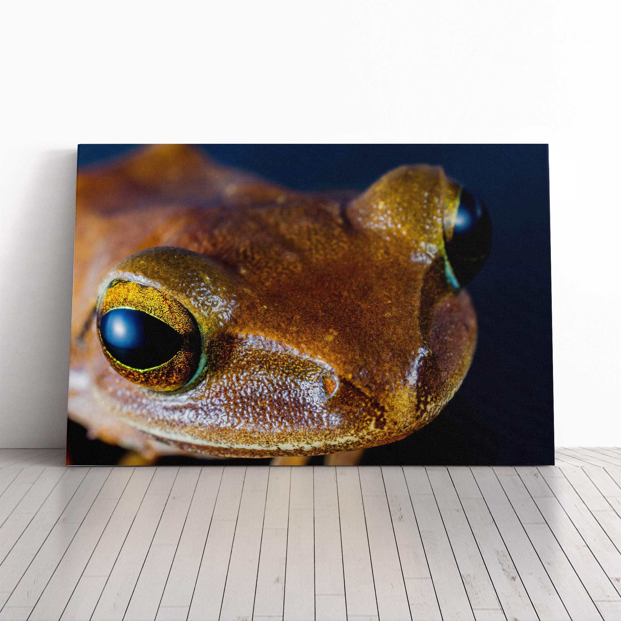 Tree Frog (3) Canvas Print | Gallery Wrapped 30mm Frame Wall Art | 20x14 inches | Ready to Hang | Modern Animals Picture | Living Room Bedroom Lounge Office