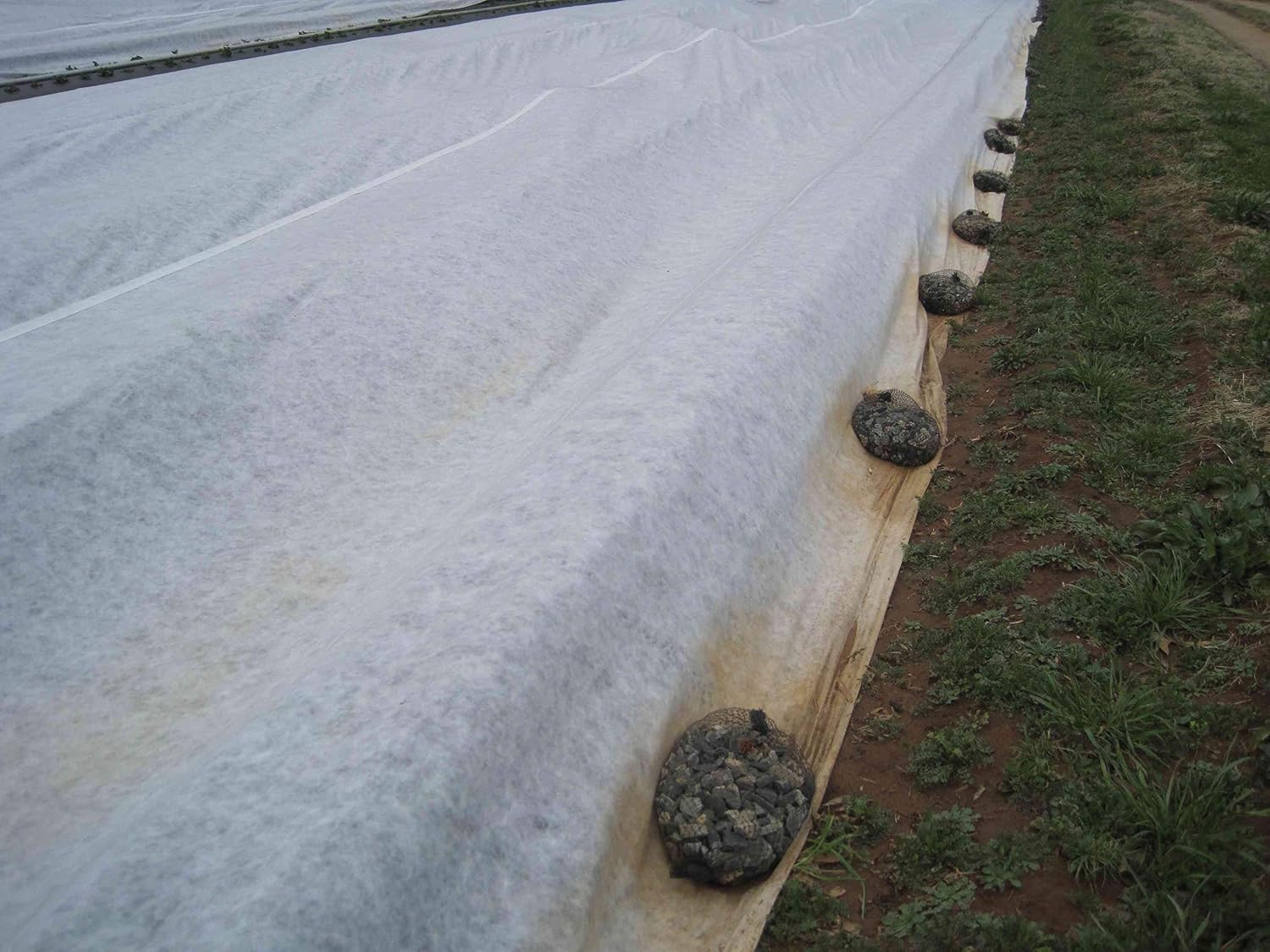 Ecover - Cubiertas de Fila Flotante para protección contra la ...