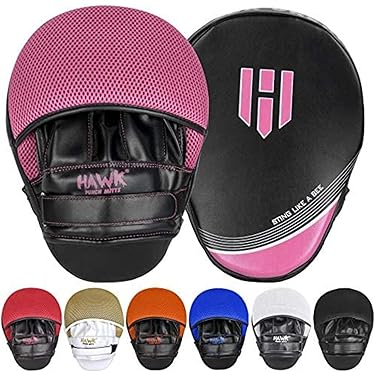 Pads De Frappe Amber Fight Gear 11" - Cuir - Cibles Pour Boxe MMA Karaté - Comme Neufs
