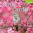 Audubon Birds in the Garden Wall Calendar 2025: Use Native Plants to Attract Birds and Pollinators to Your Backyard