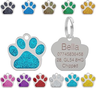 LARRYROO Personalised Engraved Pet Tag 27mm Turquoise Paw Glitter Stainless