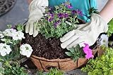Ambassador 4x Natural Coco Hanging Basket Liners 14 Inch cupped shape view 3