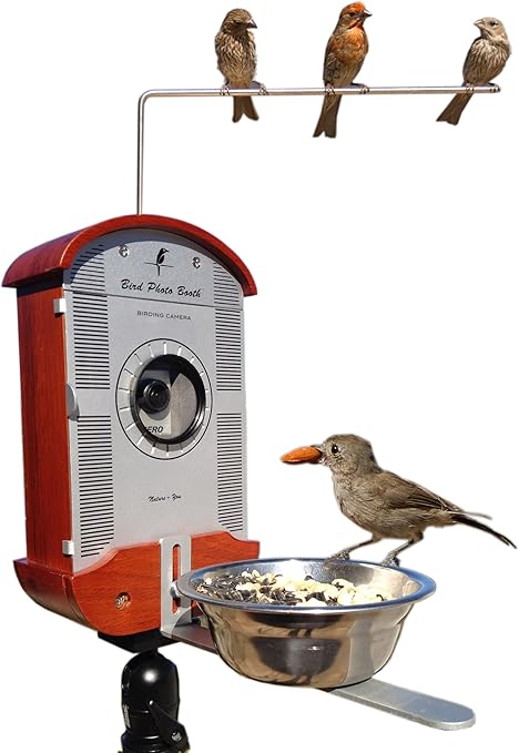 Amazon Com Bird Photo Booth Wild Bird Feeder Accessories