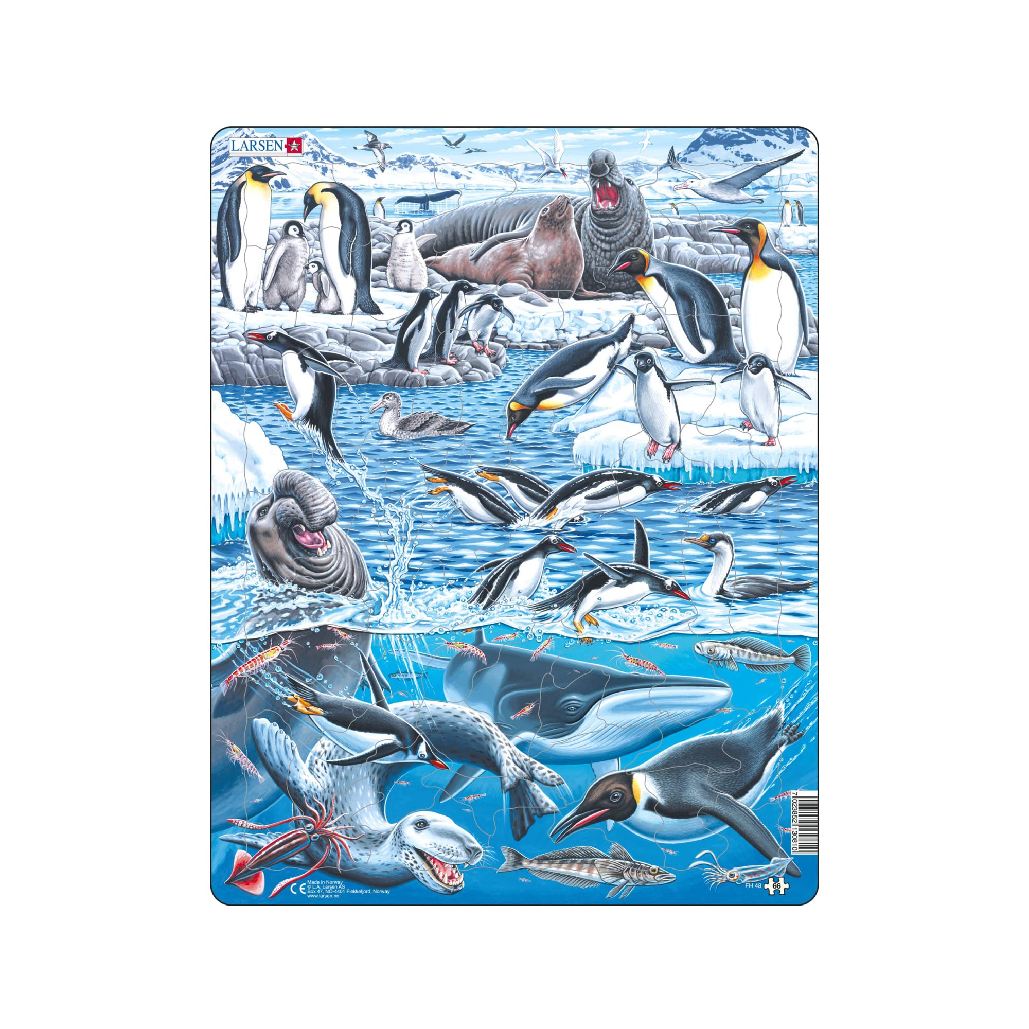 Larsen Puzzle FH48 Antarctica Wildlife, Ages 7+, Educational Nature Jigsaw, 66 Contour & Figure Pieces, Boxless Tray & Frame, Learn About Penguins & Seals