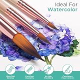 Nicpro 10Pcs Watercolor Brushes Set Cat Tongue Liner Dagger Wash with Holder view 5