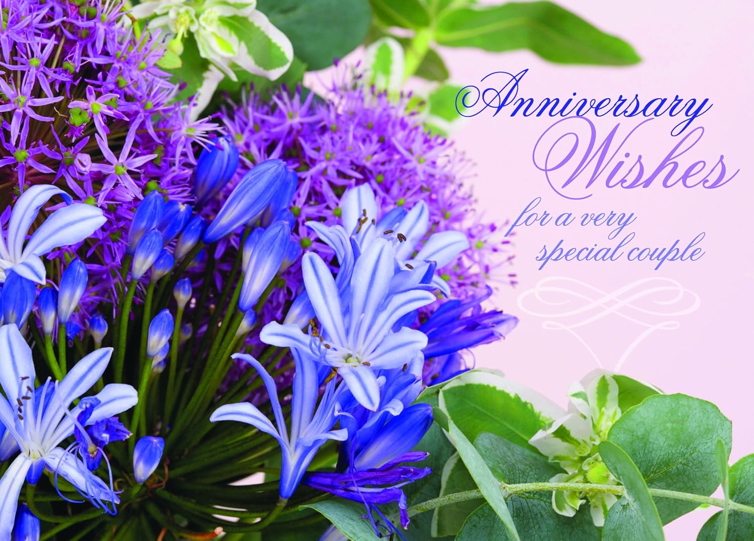 Divinity Boutique Set Of 6 Cards Single Cards Anniversary Wishes Purple Flowers 6 Pk 6 Cards Of The Same Design 24973 Amazon Co Uk Office Products