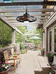 LEDIARY 20" Outdoor Ceiling Fan with Lights,IP65